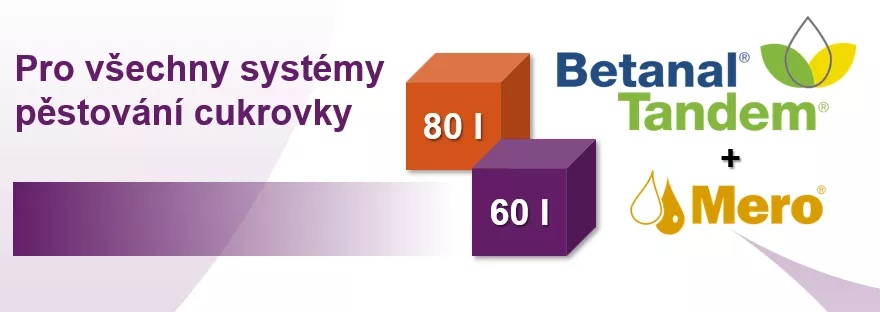 Balíček Betanal Tandem a Mero